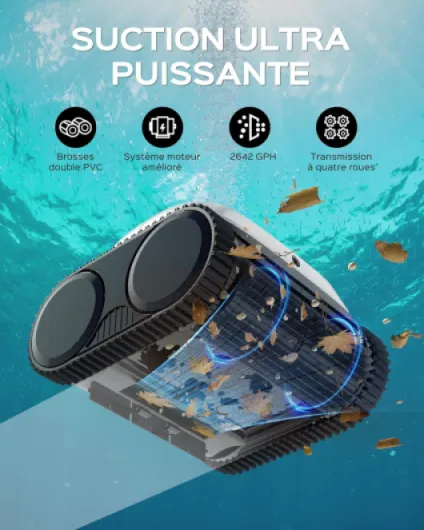 81XCLbTi 5L._AC_SL1500_