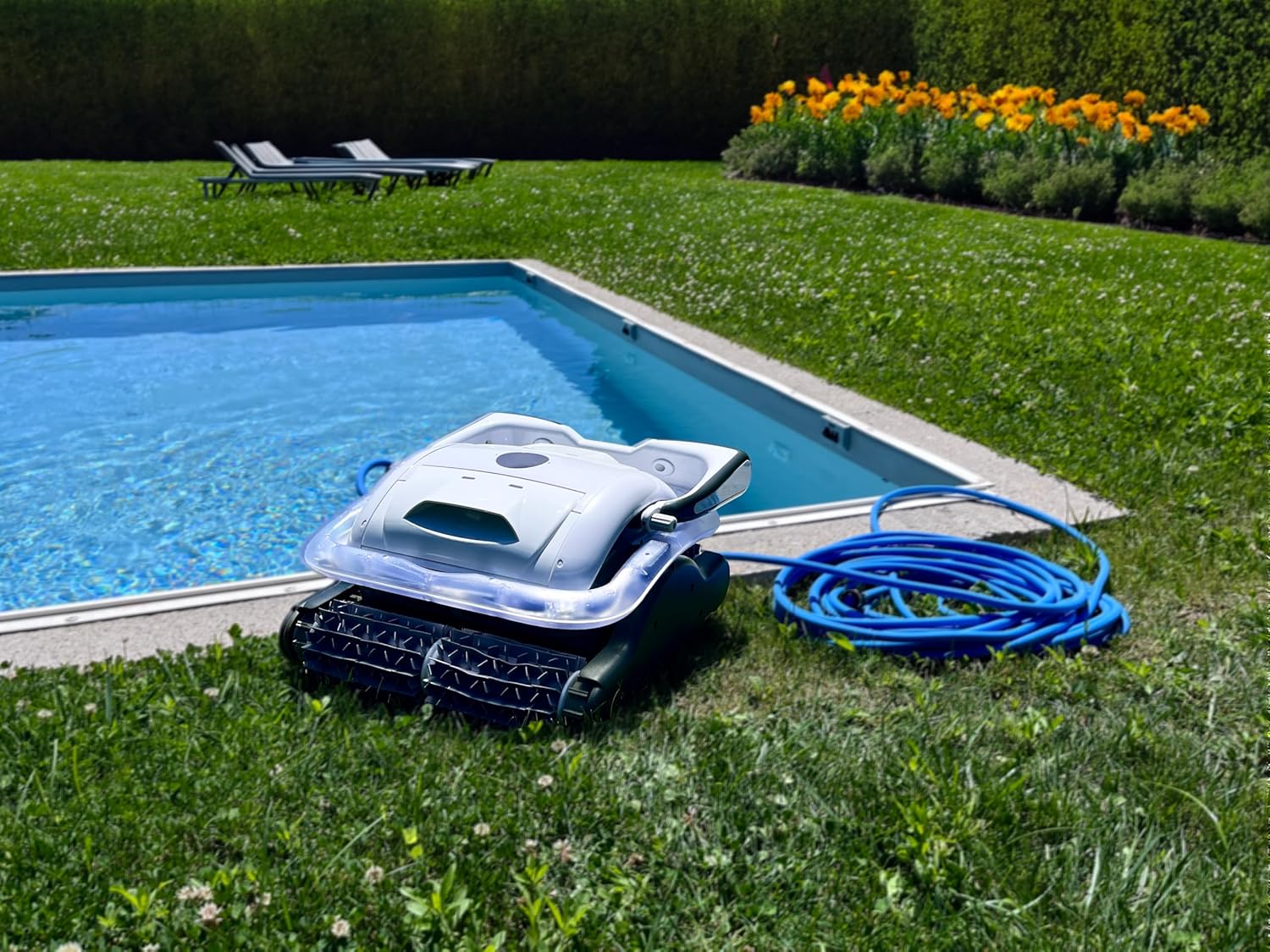 Robot Piscine électrique Raptor - Nettoyage Fond et parois - 5x9m Max