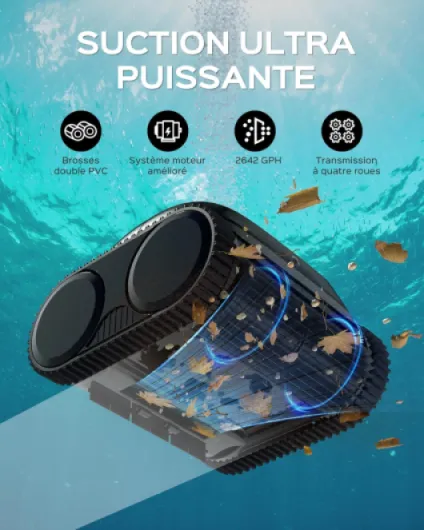 81mAVYuz-2L._AC_SL1500_