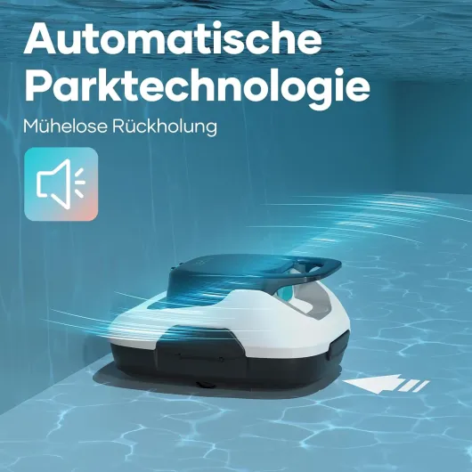 71wytwtMlpL._AC_SL1500_