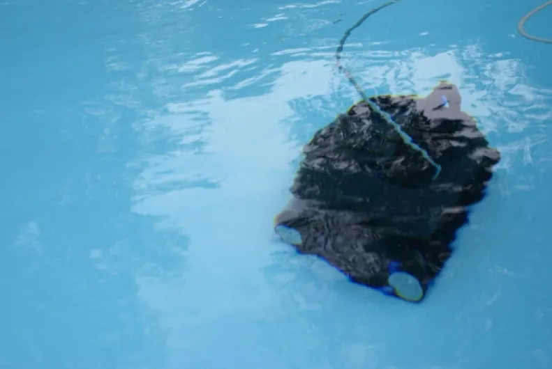 61EJLmXWvZL._AC_SL1500_