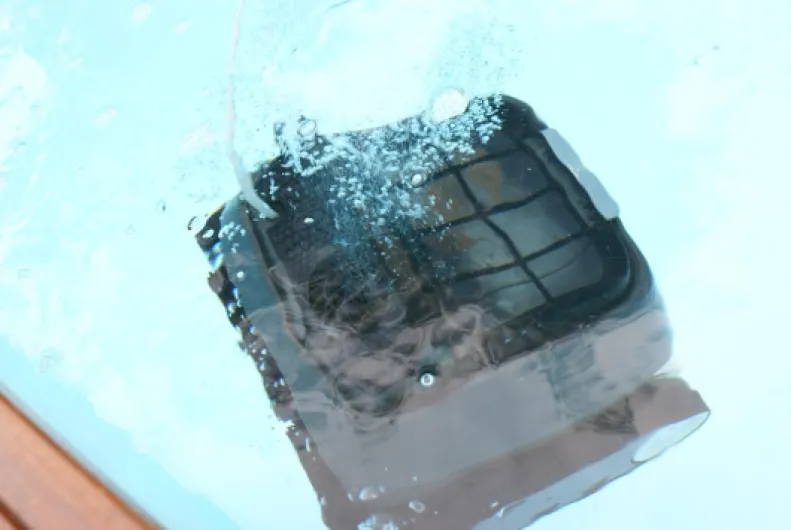 71dokSx qZL._AC_SL1500_