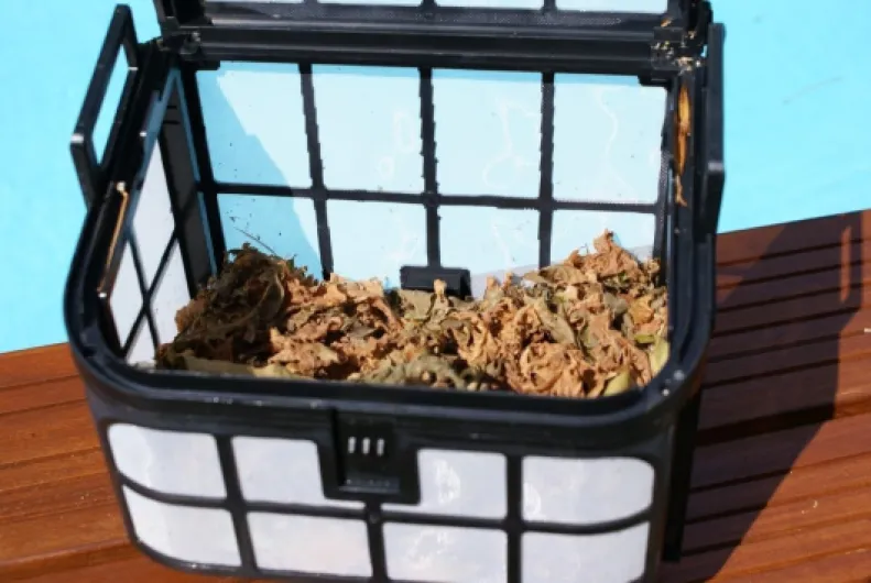 61E6IQfBciL._AC_SL1200_