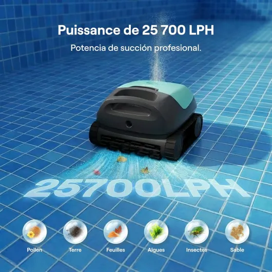 81yhXLdHZCL._AC_SL1500_